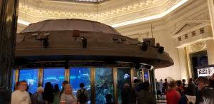 Maybe you would like to learn more about one of these? Chicago Shedd Aquarium Family Tips And Things To Do Happy Mom Hacks