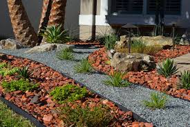 Black bead is hard to find florida native. What Is Xeriscaping Earthworks Garden Center