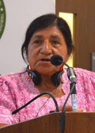 The Rights of Nature Become a Rallying Point Against an Ascendant Mining  Industry