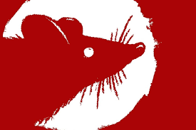 Foram encontrados 3 resultados de empresas relacionadas com a pesquisa realizada ano novo chines. Ano Novo Chines 2020 O Ano Do Rato