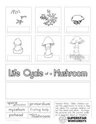 Mushroom Life Cycle Worksheets Stuffed Mushrooms Science Worksheets Free Science Worksheets