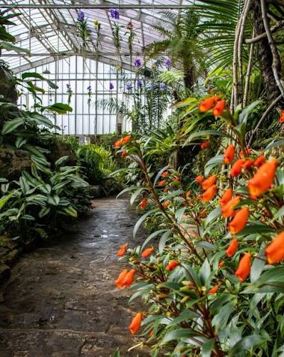 Estufas de plantas e alamedas floridas no Jardim Botânico