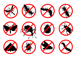 Contact, survey, treatment and aftercare, to make sure your pest problem is dealt with in a. Top 10 Pest Control Services In Chennai Safe Certified Chemicals Urban Company