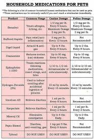 waynette cleveland on medication for dogs meds for dogs