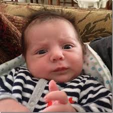 Our Kids' Blog » florida