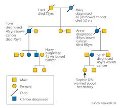 Skin cancer is one of the most common types of cancer. Family History And Inherited Cancer Genes Cancer Research Uk
