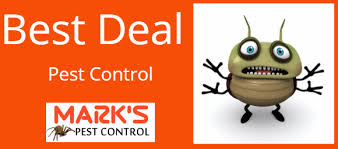 One of the easiest ways, and one of the ways most people find out they have termites in their house, is by seeing if you see these tubes, contact a pest control company to identify if it is, in fact, a termite tube. Pest Control Port Douglas Cost Effective Pest Inspection Marks Pest