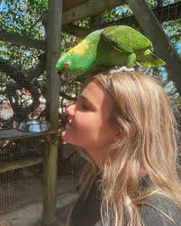 kaylee (@kaylee.shupe) · Instagram 照片和视频