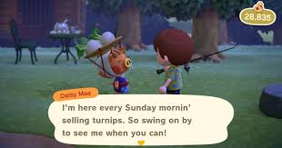 Macintosh application environment, ein ehemaliger macos emulator für unix mali mae — is a three letter acronym that may refer to:* macintosh application environment. Acnh Daisy Mae Time Hours Animal Crossing Gamewith