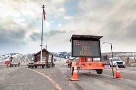 Yellowstone's vibrant ecosystem plays a huge role in attracting travelers to its gates. Yellowstone Shuts Down To Limit Spread Of Covid 19 Prevent Strain On Gateway Communities Powell Tribune