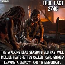 More S8 Dvd Bluray Facts Thewalkingdead Walkingdead Twd Walking Dead Season 8 Walking Dead Season The Walking Dead