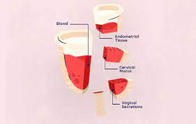 Ruby Cup Explains: How To Make Your Period End Faster