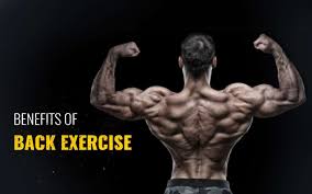 Lower back muscle spasms an be caused during sporting activities or due to rupture of ligaments or disc herniations. Benefits Of Back Exercise Benefits Strong Lower Back Six Pack Nutrition
