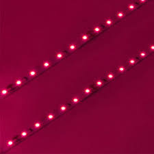 Maybe you would like to learn more about one of these? China New Led Products Smd2835 60leds M Led Strip Grow Lights China Led Strip Grow Lights Grow Light Strips