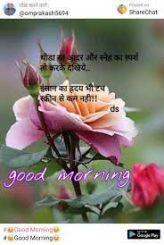 Latest inspirational photos picture in english. Good Morning Flowers Quotes In Hindi Hutomo