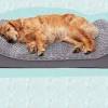 Wet the bed with cool or warm water. 1