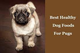 These meat ingredients can be followed by some plant proteins (peas, lentils), vegetable starches (sweet potatoes, for example), or some less common grains (oats, barley). The Best Dog Food For Pugs Diet And Product Reviews 2019