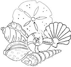We found a picture of sea shell to color. Sea Shells Coloring Pages For Kids And For Adults Coloring Home