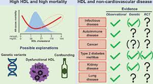 Novel Insights From Human Studies On The Role Of High Density Lipoprotein In Mortality And Noncardiovascular Disease Arteriosclerosis Thrombosis And Vascular Biology
