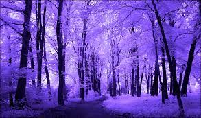 Purple aesthetic purple trees purple love all things purple scenery fantasy landscape purple wallpaper iphone shades of purple purple wallpaper. Pink Tree S Suggestions Rising World