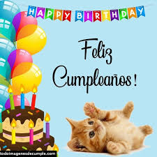 Check spelling or type a new query. Pin En Cumpleanos