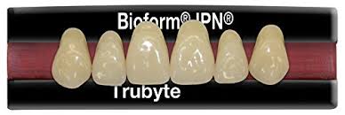 amazon com dentsply 16636lb66k1 trubyte bioblend ipn