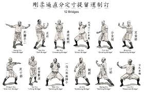 Applying The Bridging Techniques Of Hung Ga Practical Hung Kyun Martial Arts Styles Best Martial Arts Martial Arts Techniques