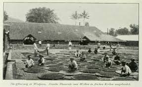 Biasanya terjadi di area perkebunan, pertambangan, pelabuhan, dan objek vital lainnya. Jejak Pahitnya Kopi Dan Penderitaan Kolonial Di Indonesia Republika Online