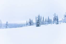 The number one item of everybody's finnish bucketlist is to experience the northern lights (the green rays of light seen at the beginning of disney's frozen).your chances of seeing the northern lights are the best in the lapland region of finland but remember that luck is a. Levi Lappland 6 Tipps Fur Einen Perfektes Winterabenteuer