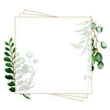 Beautiful Watercolor Leaves Frame Watercolor Color Colorful Png And Vector With Transparent Background For Free Download Flower Background Wallpaper Watercolor Leaves Flower Backgrounds