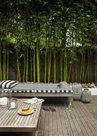 Parete Schermante Terrazzo Con Canne Di Bamboo Idee Giardino Terrazzo Illuminazione Giardino Esterno Giardino Di Bambu