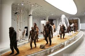 Jeongok Prehistory Museum Museum Architecture Museum Exhibition Design Museum Interior