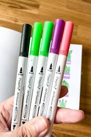 Drawing tutorials on everything you can learn how to. Cacti Doodles Succulents Step By Step The Petite Planner