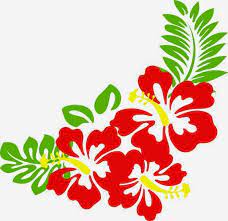 Lagu indonesia raya kartun duración 3:23 tamaño 4.97 mb / download here. Paling Keren 30 Gambar Bunga Raya Merah Kartun Gambar Kartun Hd