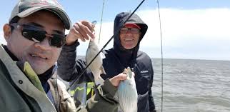 There used to be 3 fishermen's wharves t Clear Lake. I am talking ones you  had to pay at. 1 was at Casters Cove, the 2nd was across the street from the