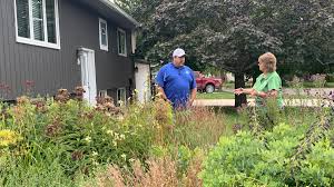 Successful prairie establishment is not cheap and it's not easy. Prairie Yard Garden Pioneer Pbs