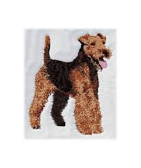 Image result for velšteriér