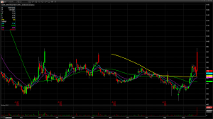 Arwr Stock Arrowhead Pharmaceuticals Inc Common Stock