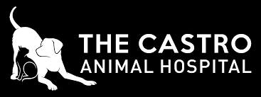 At danville family dental care, our number one goal is to provide the people of danville, illinois with affordable, effective dental care. The Castro Animal Hospital Veterinarian In San Francisco Pet Exams
