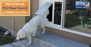All sliding glass doors feature one door that gently glides past the other, offering access to the outdoors. Diy Install Pet Door Diy Sliding Glass Doggy Door Installation
