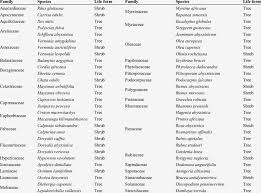 Image result for Lepidotrichilia