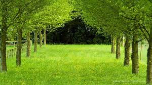 Pin By Katelyn Elizabeth On Background Nature Desktop Wallpaper Hd Wallpapers For Laptop Nature Desktop