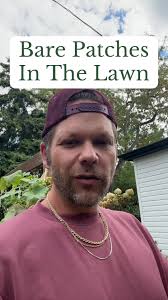 Grass Alternatives for Your Lawn: Sustainable Options