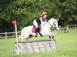 We did not find results for: The Ultimate Cross Country Fence Guide Pony Magazine