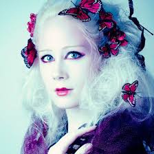 Dave Ward Photography