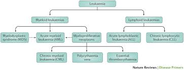 Image result for Acute Leukemia