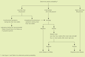These antibodies are produced by the body's immune system in response to borrelia infection, also called lyme disease. Diagnosis Of Lyme Disease American Family Physician
