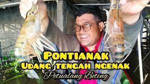 Mancing Udang Galah Di Malam Hari 1 Dari 1000 Pemancing Belum Tentu Bisa Seberuntung Ini Youtube