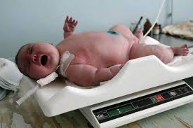 (photograph by jeremy112233, distributed under a cc0 1.0 license.). Top 10 Heaviest Babies Ever Born Biggest Newborn Babies