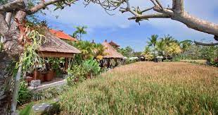 Check spelling or type a new query. Bebek Tepi Sawah Restoran Di Ubud Peta Lokasi Harga Makanan